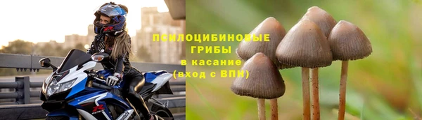 mdpv Абдулино