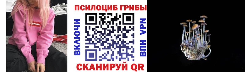 Псилоцибиновые грибы мицелий Ртищево