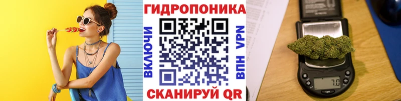 маркетплейс официальный сайт  Ртищево  Бошки марихуана планчик 